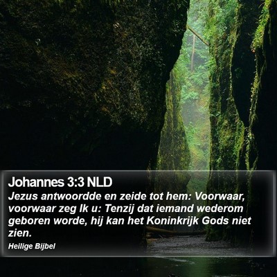 Johannes 3:3 NLD Bible Verse Image