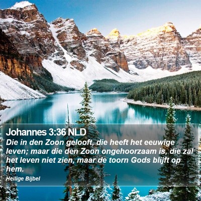 Johannes 3:36 NLD Bible Verse Image