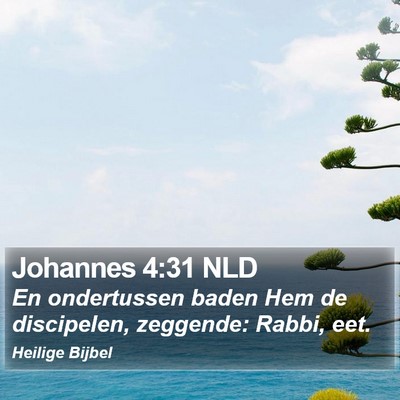 Johannes 4:31 NLD Bible Verse Image