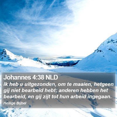 Johannes 4:38 NLD Bible Verse Image