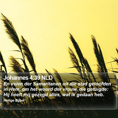 Johannes 4:39 NLD Bible Verse Image