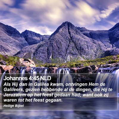 Johannes 4:45 NLD Bible Verse Image