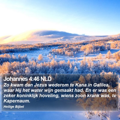 Johannes 4:46 NLD Bible Verse Image