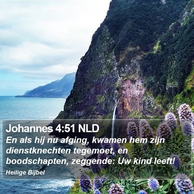 Johannes 4:51 NLD Bible Verse Image