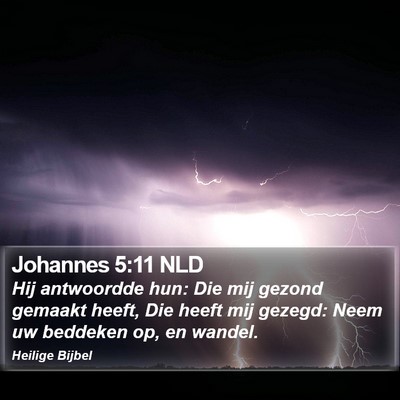 Johannes 5:11 NLD Bible Verse Image