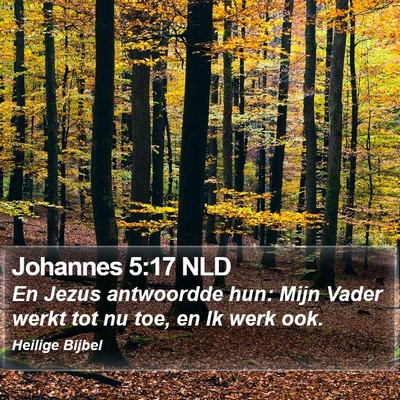 Johannes 5:17 NLD Bible Verse Image