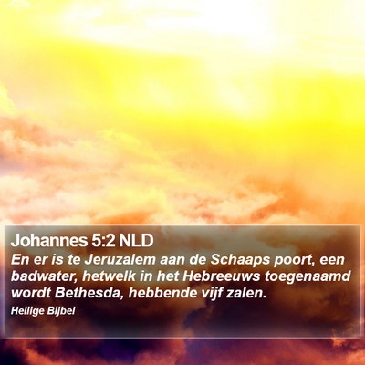 Johannes 5:2 NLD Bible Verse Image