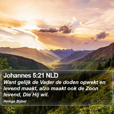 Johannes 5:21 NLD Bible Verse Image