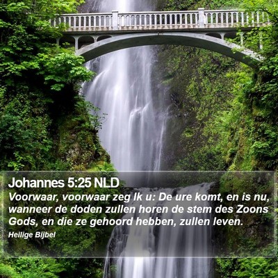Johannes 5:25 NLD Bible Verse Image