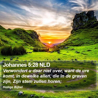 Johannes 5:28 NLD Bible Verse Image