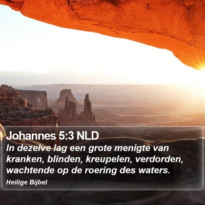 Johannes 5:3 NLD Bible Verse Image