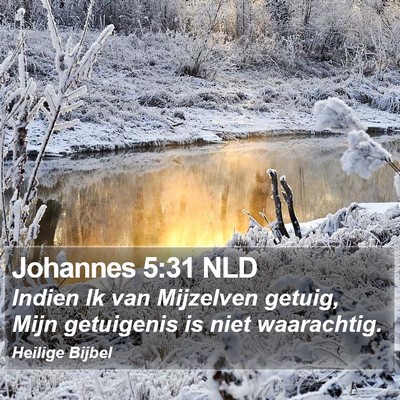 Johannes 5:31 NLD Bible Verse Image