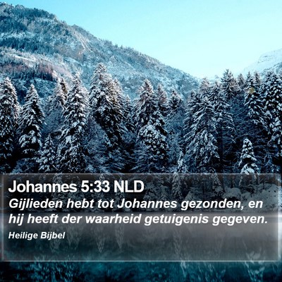 Johannes 5:33 NLD Bible Verse Image