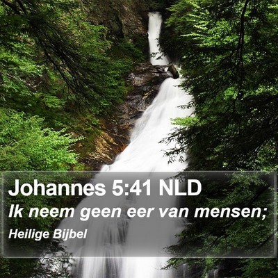 Johannes 5:41 NLD Bible Verse Image