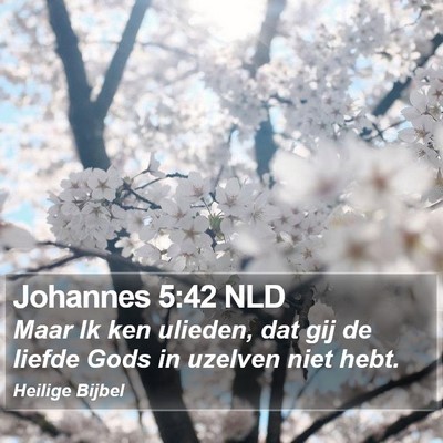 Johannes 5:42 NLD Bible Verse Image