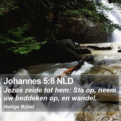 Johannes 5:8 NLD Bible Verse Image