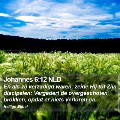 Johannes 6:12 NLD Bible Verse Image