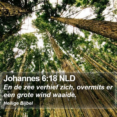 Johannes 6:18 NLD Bible Verse Image