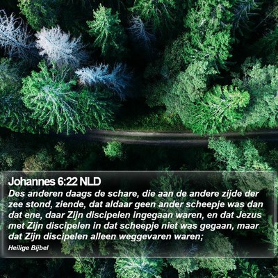 Johannes 6:22 NLD Bible Verse Image