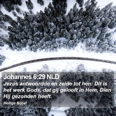 Johannes 6:29 NLD Bible Verse Image