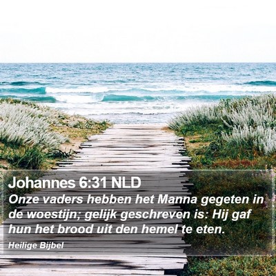 Johannes 6:31 NLD Bible Verse Image