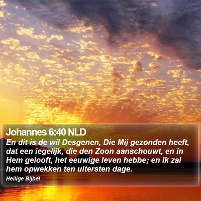 Johannes 6:40 NLD Bible Verse Image