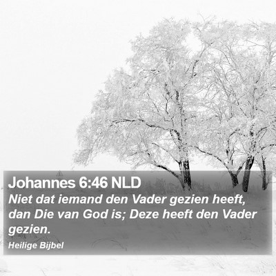 Johannes 6:46 NLD Bible Verse Image