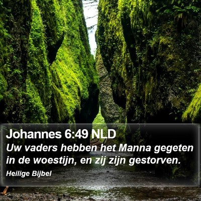Johannes 6:49 NLD Bible Verse Image