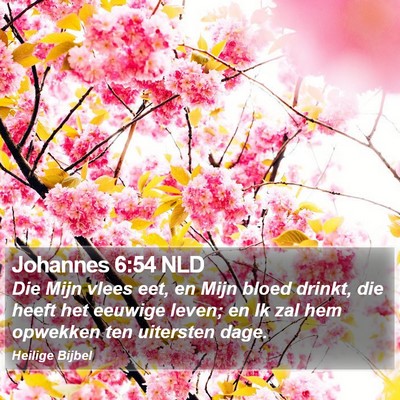 Johannes 6:54 NLD Bible Verse Image