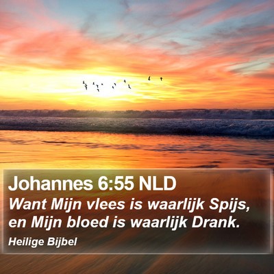 Johannes 6:55 NLD Bible Verse Image