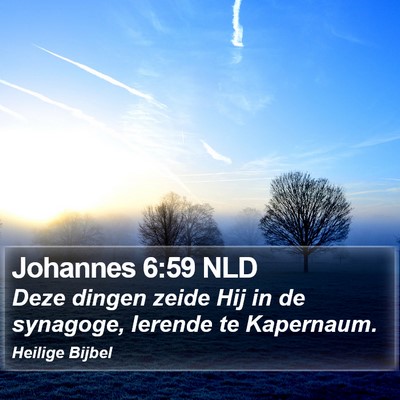 Johannes 6:59 NLD Bible Verse Image