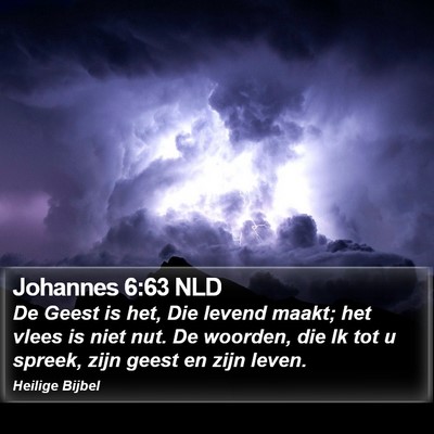 Johannes 6:63 NLD Bible Verse Image
