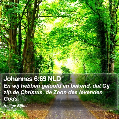 Johannes 6:69 NLD Bible Verse Image