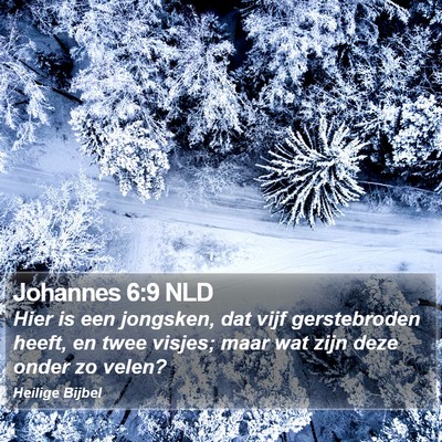 Johannes 6:9 NLD Bible Verse Image