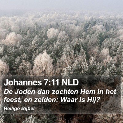 Johannes 7:11 NLD Bible Verse Image
