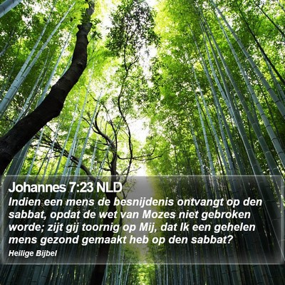 Johannes 7:23 NLD Bible Verse Image