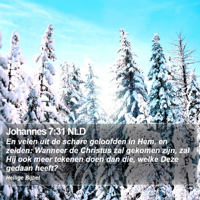 Johannes 7:31 NLD Bible Verse Image