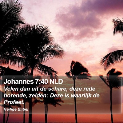 Johannes 7:40 NLD Bible Verse Image