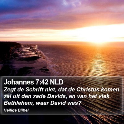 Johannes 7:42 NLD Bible Verse Image