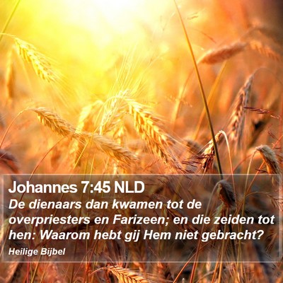 Johannes 7:45 NLD Bible Verse Image