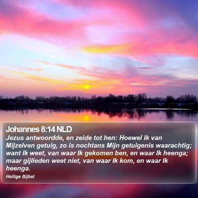 Johannes 8:14 NLD Bible Verse Image