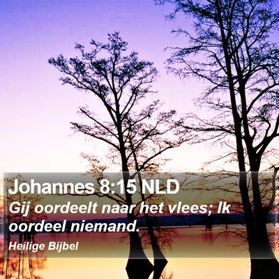 Johannes 8:15 NLD Bible Verse Image