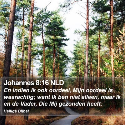 Johannes 8:16 NLD Bible Verse Image