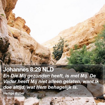 Johannes 8:29 NLD Bible Verse Image