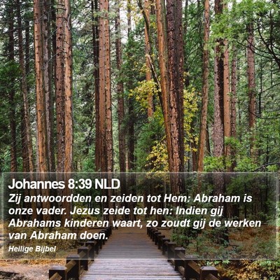 Johannes 8:39 NLD Bible Verse Image