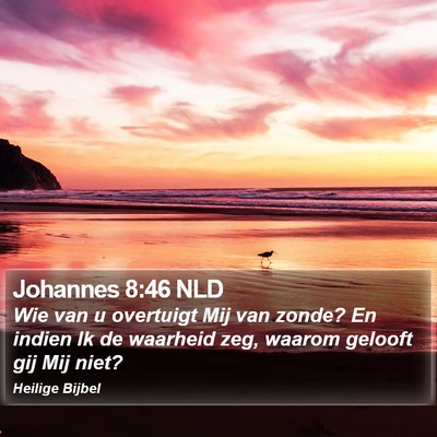 Johannes 8:46 NLD Bible Verse Image