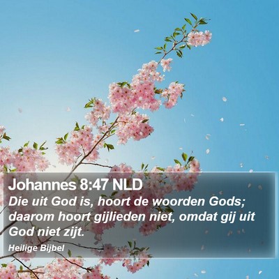 Johannes 8:47 NLD Bible Verse Image