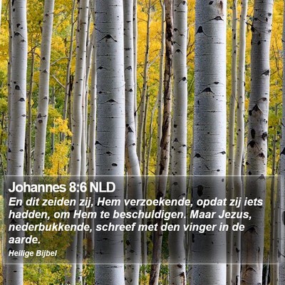 Johannes 8:6 NLD Bible Verse Image