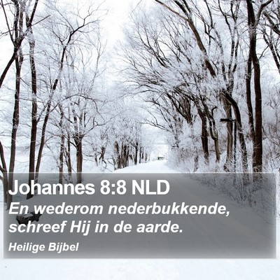 Johannes 8:8 NLD Bible Verse Image