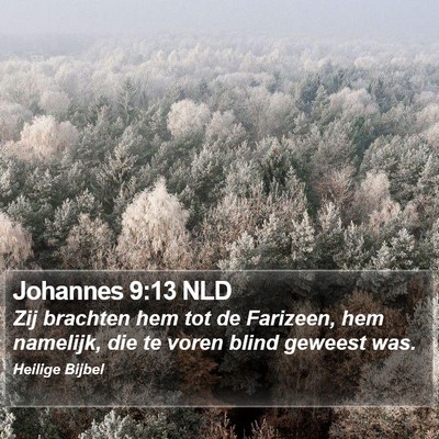 Johannes 9:13 NLD Bible Verse Image